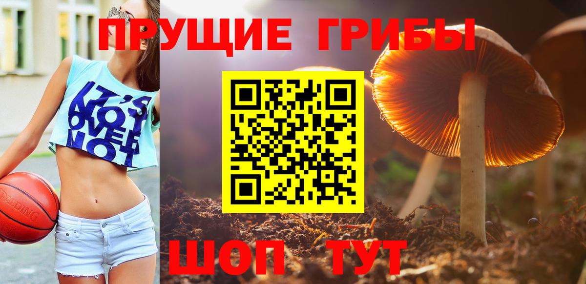 Галлюциногенные грибы MAGIC MUSHROOMS Борисоглебск